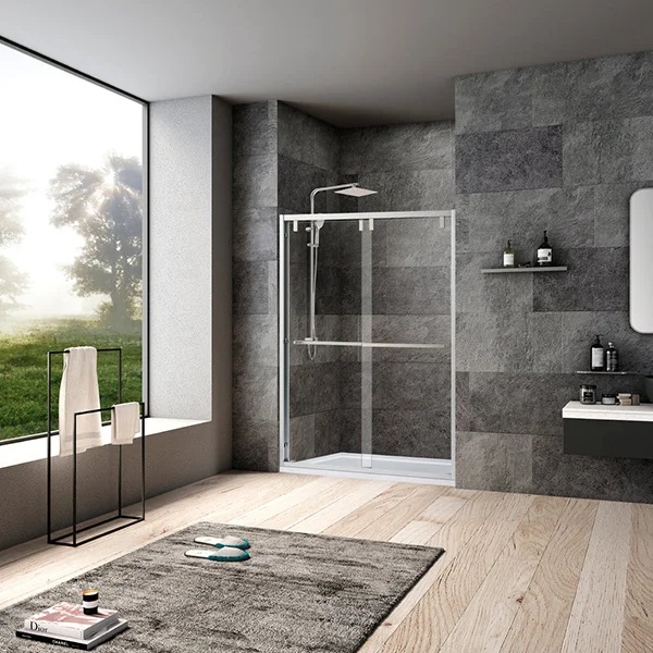 Shower Door